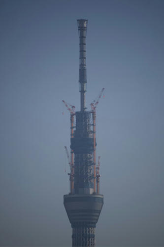 20110401_075621.JPG