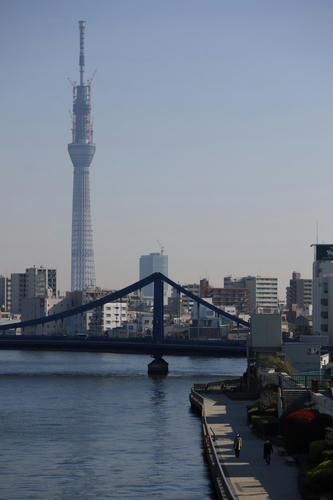 20110401_075717.JPG