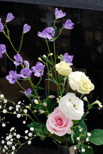 20110402_110440.jpg