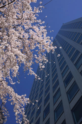 20110405_080842.jpg