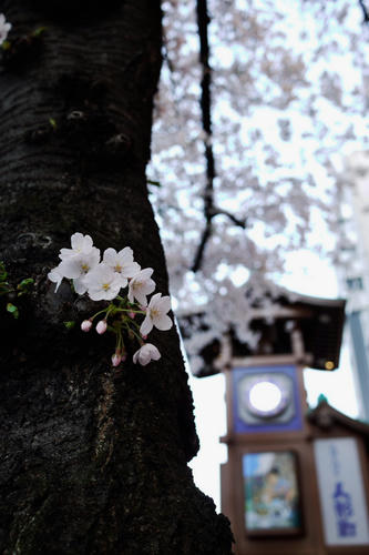 20110407_174421.jpg