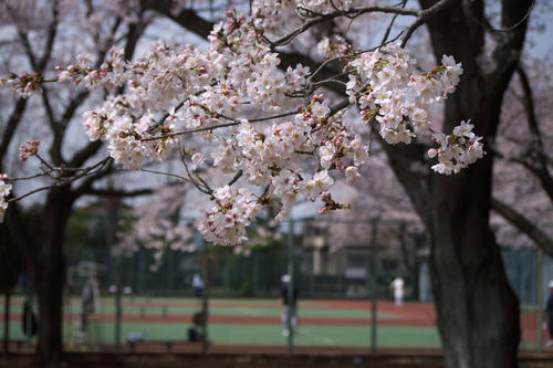 20110410_114924.jpg