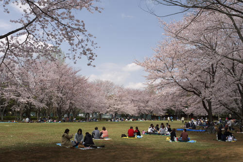 20110410_120518.jpg