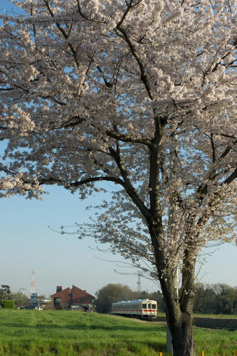 20110413_062926.jpg