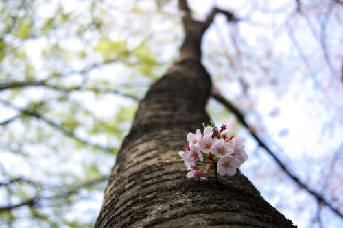20110416_143448.jpg