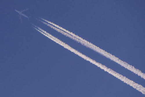 20110417_115856.jpg