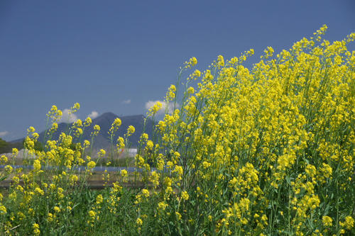 20110424_110326.jpg