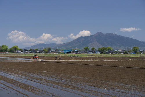20110424_111354.jpg