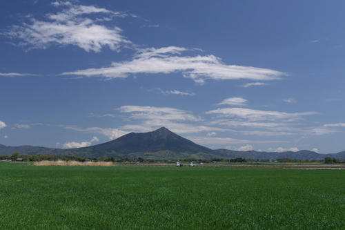 20110424_113028.jpg