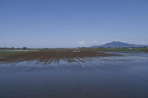 20110424_114818.jpg