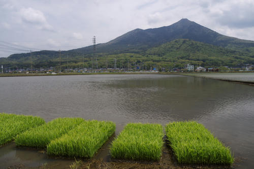 20110430_105400.jpg