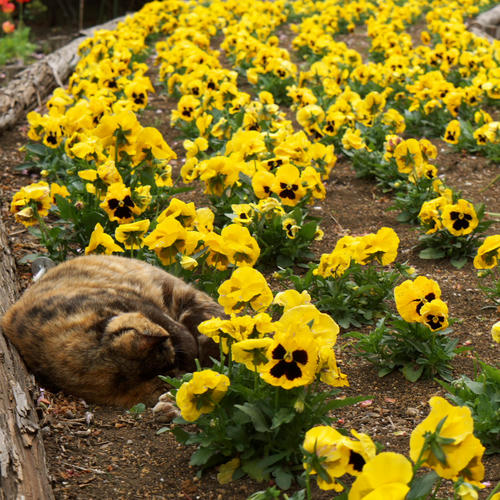 20110503_101716.jpg