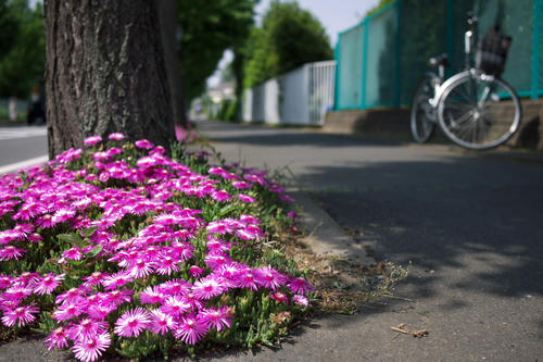 20110521_133644.jpg