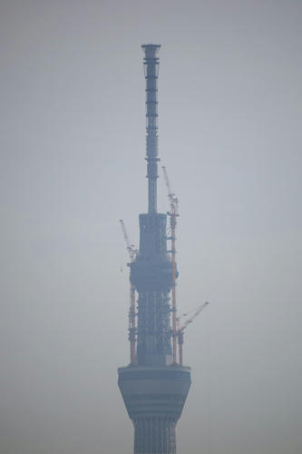 20110525_075512.jpg