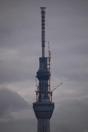 20110531_075518.jpg