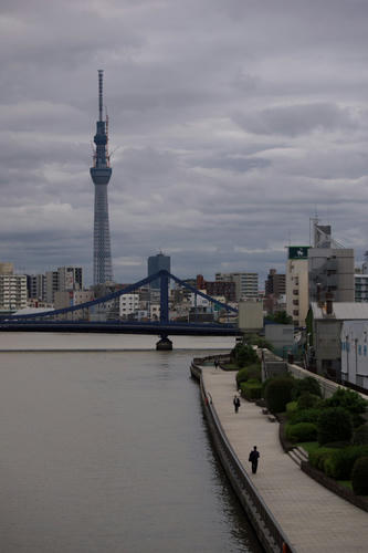 20110531_075653.jpg