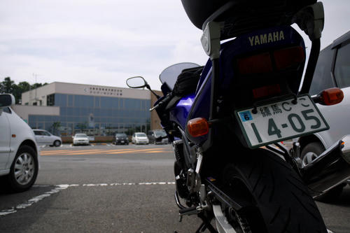 20110603_091005.jpg