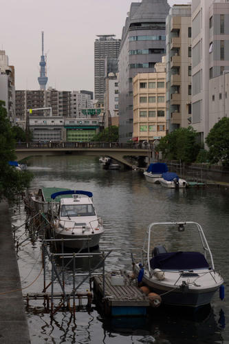 20110615_175014.jpg