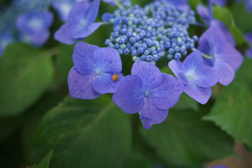 20110619_114556.jpg