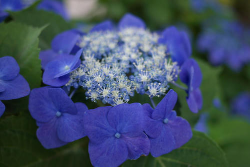 20110619_114620.jpg