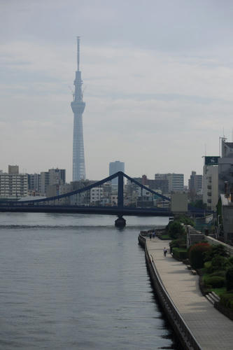 20110701_074816.jpg