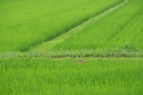20110703_120616.jpg