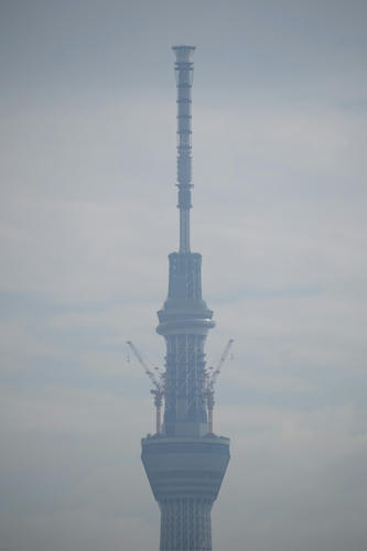 743baea0.jpg