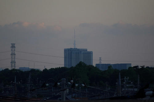 20110711_183324.jpg