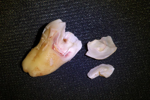 20110716_191546.jpg