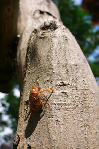 20110730_135334.jpg