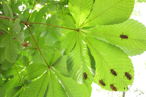 20110730_150024.jpg