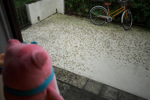 20110730_152340.jpg