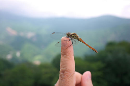 20110814_111218.jpg