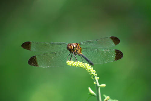 20110814_144342.jpg