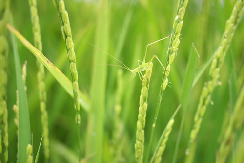 20110820_131430.jpg