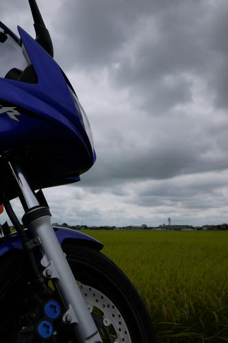 20110827_131336.jpg
