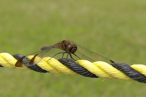 20110923_124306.jpg