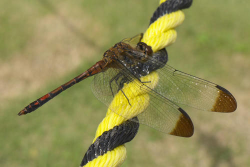 20110923_124618.jpg