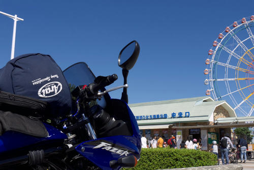 20110924_103810.jpg