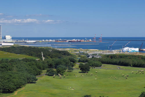 20110924_111604.jpg
