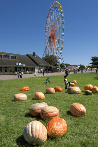 20110924_113416.jpg