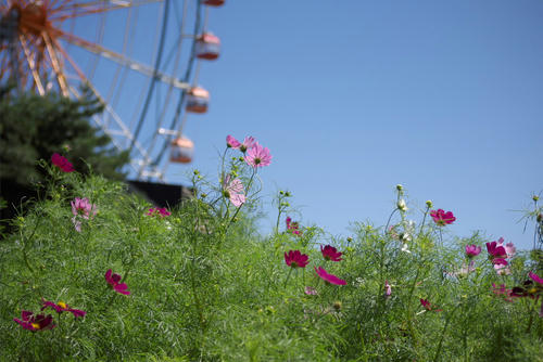 20110924_114014.jpg