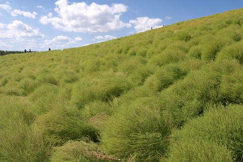 20110924_125204.jpg