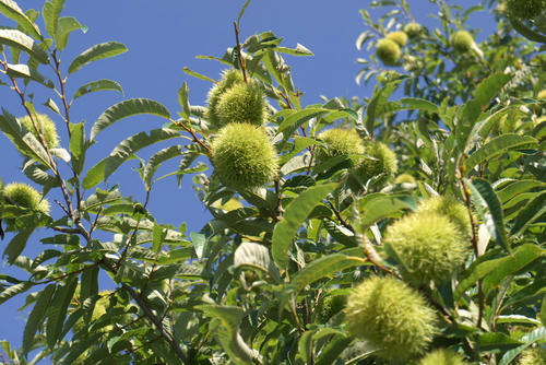 20110924_134928.jpg