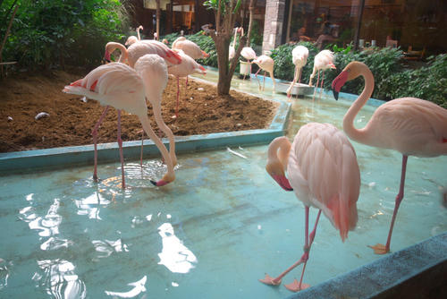 20111030_124146.jpg