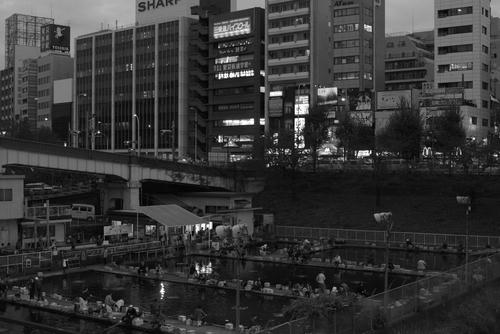 20111112_163600b2.jpg