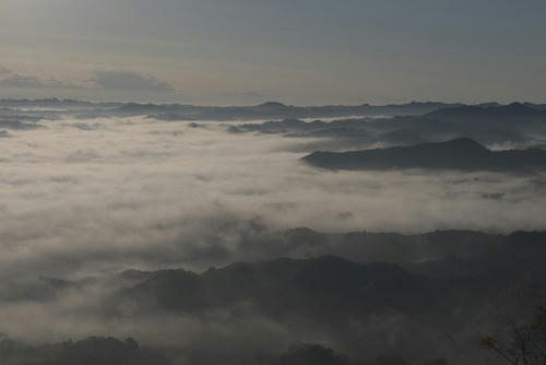 20111123_073128.jpg