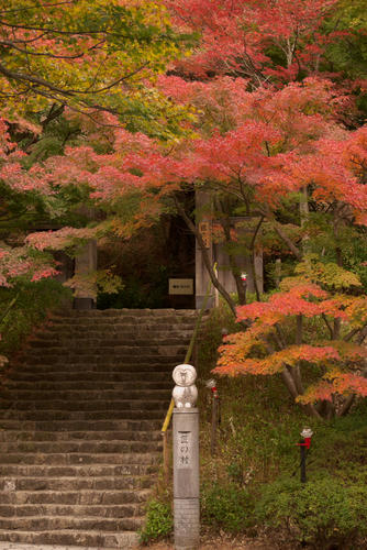 20111126_125218r.jpg