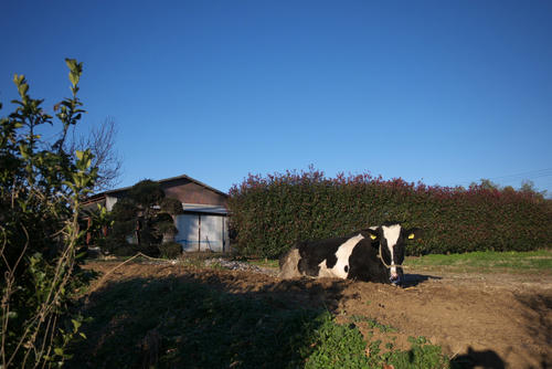 20111225_075728.jpg