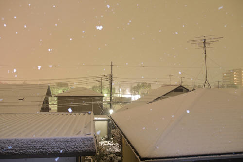 20120123_214656_1W.jpg